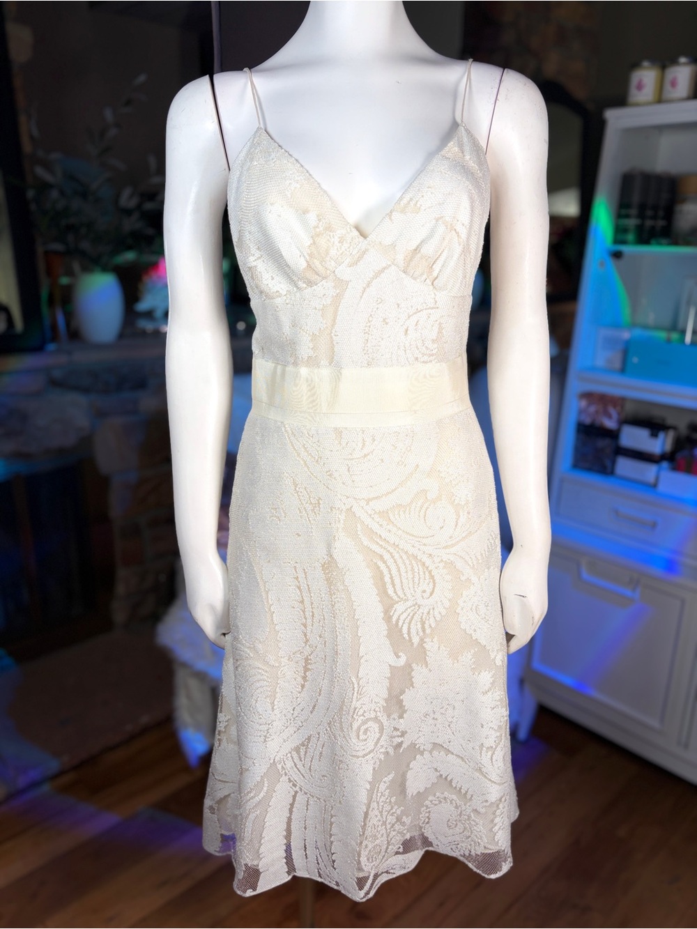 Yigal Azrouel Cream & Silver Paisley 2-Layer Devore Lace Dress Szs 4, 6, 10 & 12